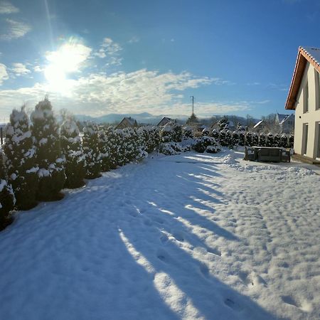 Sniezka House Villa Mysłakowice Buitenkant foto